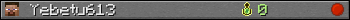 Yebetu613 userbar 350x20