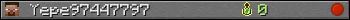 Yepe97447797 userbar 350x20