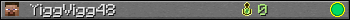 YiggVigg48 userbar 350x20