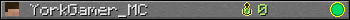 YorkGamer_MC userbar 350x20