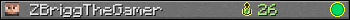 ZBriggTheGamer userbar 350x20