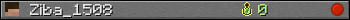 Ziba_1508 userbar 350x20
