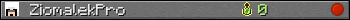 ZiomalekPro userbar 350x20