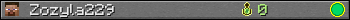 Zozyla229 userbar 350x20