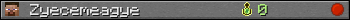Zyecemeagye userbar 350x20