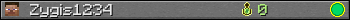 Zygis1234 userbar 350x20
