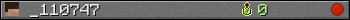 _110747 userbar 350x20