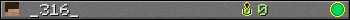 _316_ userbar 350x20