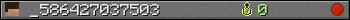 _586427037503 userbar 350x20