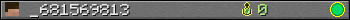 _681569813 userbar 350x20