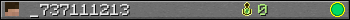 _737111213 userbar 350x20