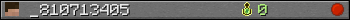 _810713405 userbar 350x20