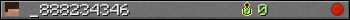 _888234346 userbar 350x20