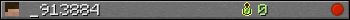 _913884 userbar 350x20