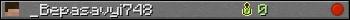 _Bepasavyi748 userbar 350x20