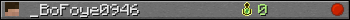 _BoFoye0946 userbar 350x20