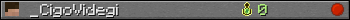 _CigoVidegi userbar 350x20