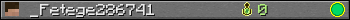 _Fetege286741 userbar 350x20