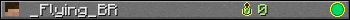 _Flying_BR userbar 350x20