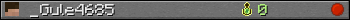 _Gule4685 userbar 350x20