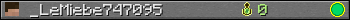 _LeMiebe747095 userbar 350x20
