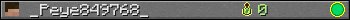 _Peye849768_ userbar 350x20
