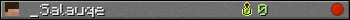 _Salauqe userbar 350x20