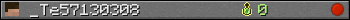 _Te57130308 userbar 350x20