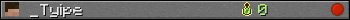_Tyipe userbar 350x20