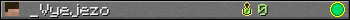 _Vyejezo userbar 350x20