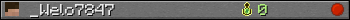 _Welo7847 userbar 350x20