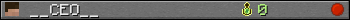 __CEO__ userbar 350x20