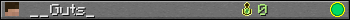 __Guts_ userbar 350x20