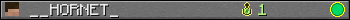 __HORNET_ userbar 350x20