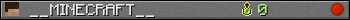 __MINECRAFT__ userbar 350x20