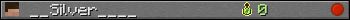 __Silver____ userbar 350x20