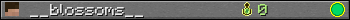 Benutzerleisten 350x20 für __blossoms__