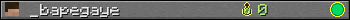 _bapegaye userbar 350x20