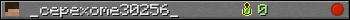 Benutzerleisten 350x20 für _cepexome30256_