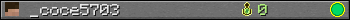 _coce5703 userbar 350x20