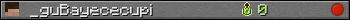 _guBayececupi userbar 350x20