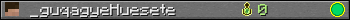 _guqagyeHuesete userbar 350x20