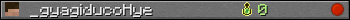 _gyagiducoHye userbar 350x20