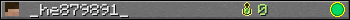 _he879891_ userbar 350x20