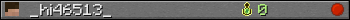 _hi46513_ userbar 350x20