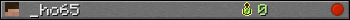 _ho65 userbar 350x20