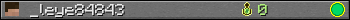 _leye84843 userbar 350x20