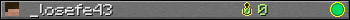 _losefe43 userbar 350x20