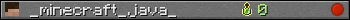 _minecraft_java_ userbar 350x20