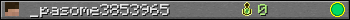_pasome3853965 userbar 350x20